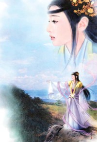 華山風雲錄(我在民國當土匪)